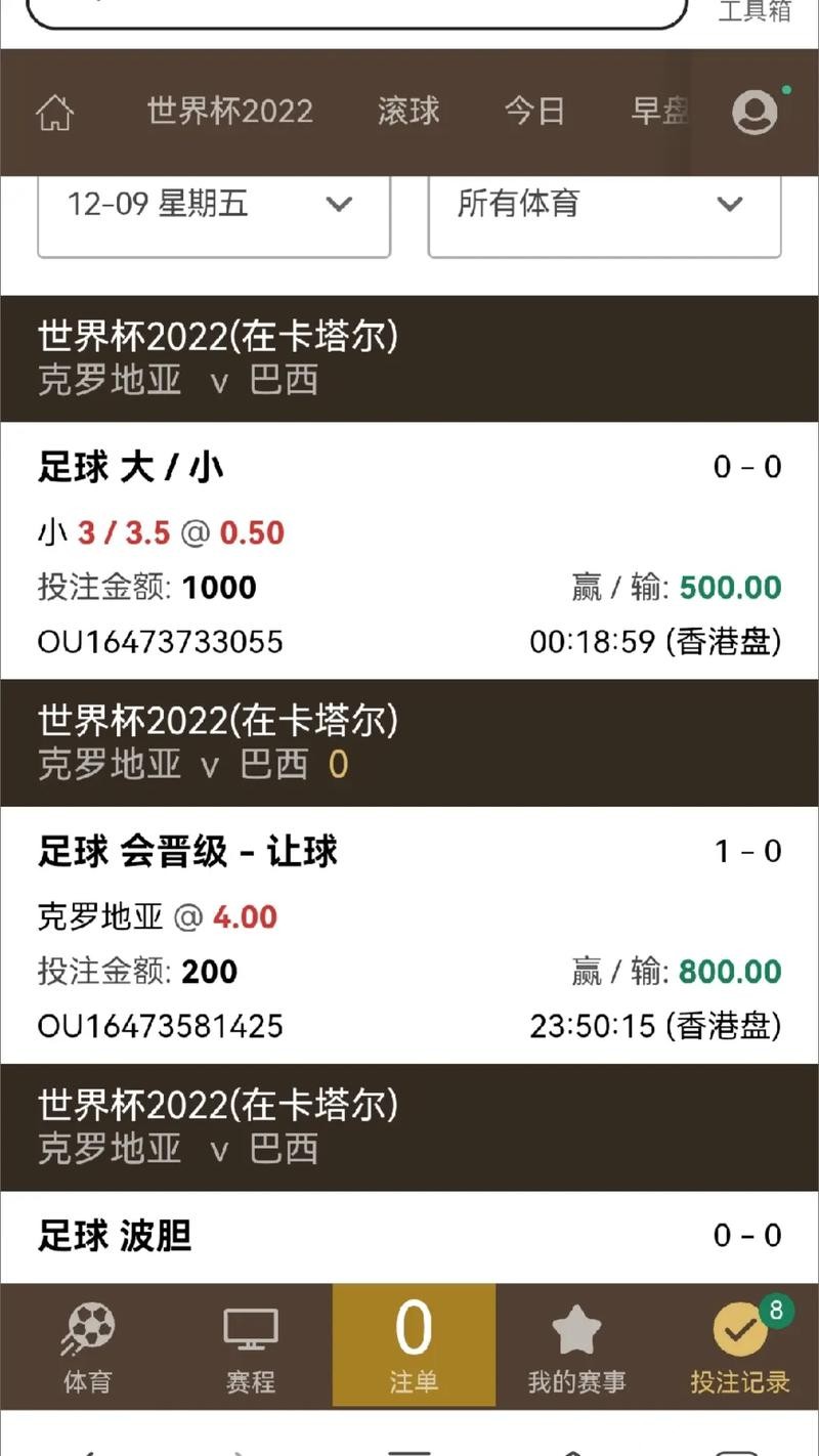 世界杯安全下注平台：保障资金安全的最佳选择